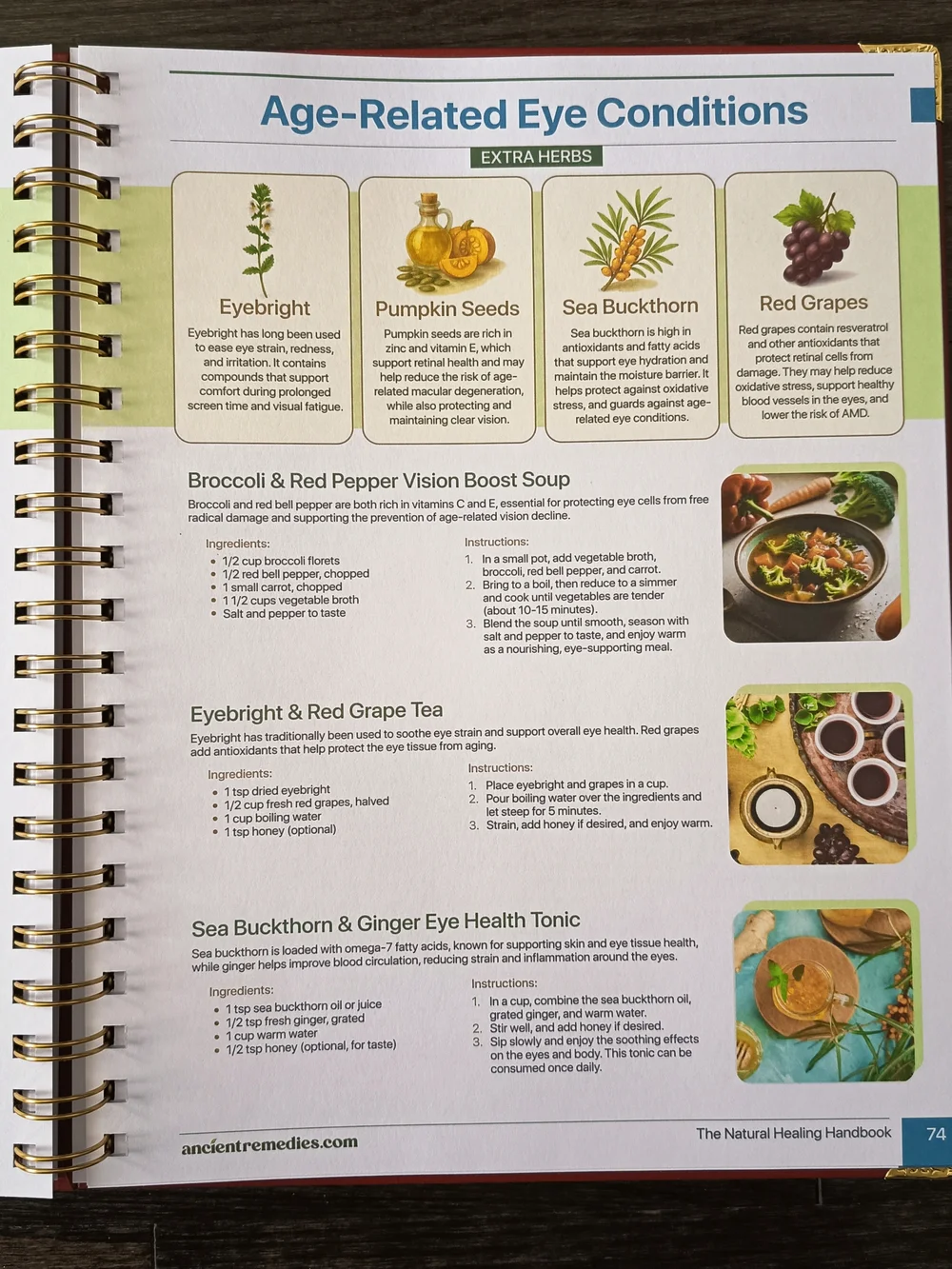 Authentic The Natural Healing Handbook - Picture 5 of 7